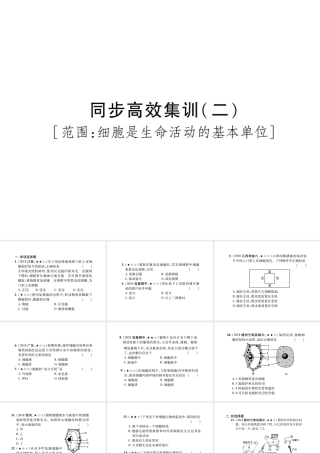 PK中考（江西专用）中考生物 同步高效集训（二）课件-人教版初中九年级全册生物课件