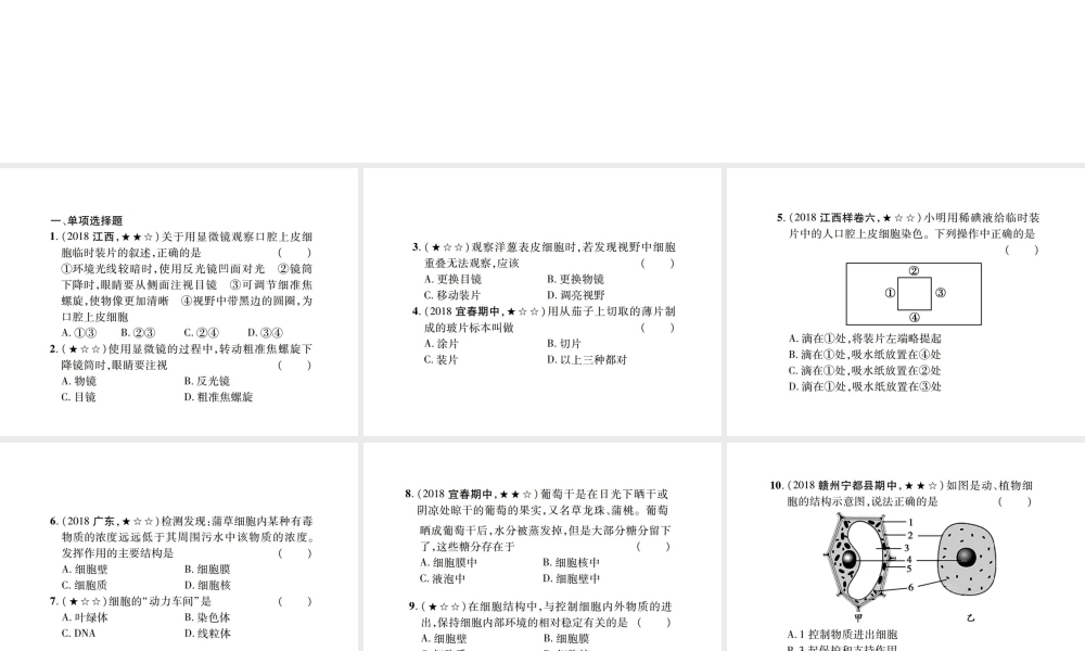 PK中考（江西专用）中考生物 同步高效集训（二）课件-人教级全册生物课件