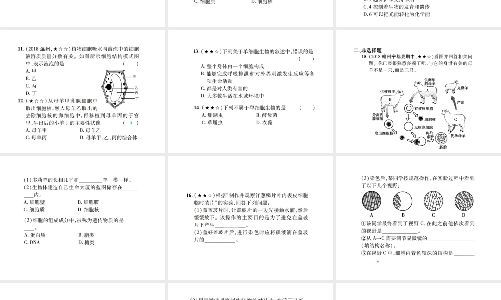PK中考（江西专用）中考生物 同步高效集训（二）课件-人教级全册生物课件