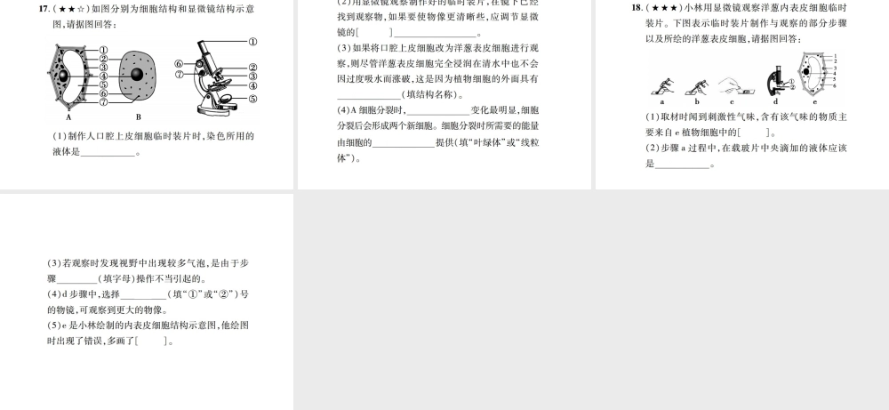 PK中考（江西专用）中考生物 同步高效集训（二）课件-人教级全册生物课件