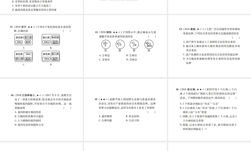 PK中考（江西专用）中考生物 同步高效集训（二十）课件-人教版初中九年级全册生物课件