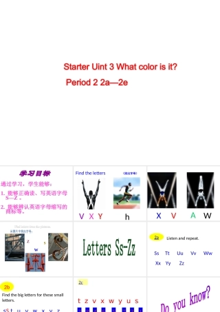 Starter Unit 3 What color is it Period2课件