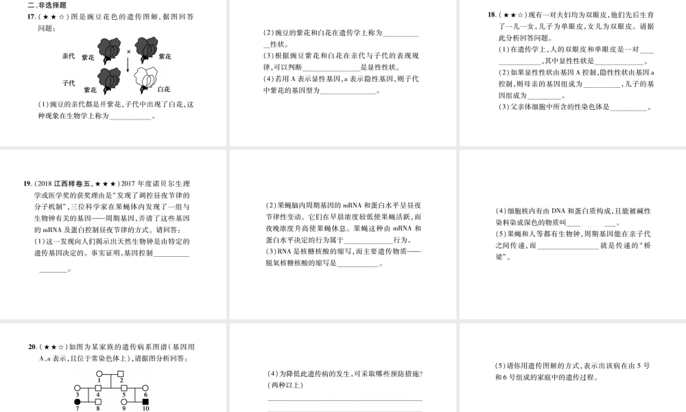 PK中考（江西专用）中考生物 同步高效集训（二十）课件-人教级全册生物课件