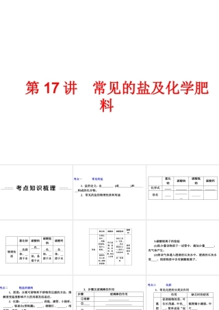 【中考备战策略】2014年中考化学总复习 第一部分 教材梳理 第17讲 常见的盐及化学肥料（含13年中考典例）课件 新人教版