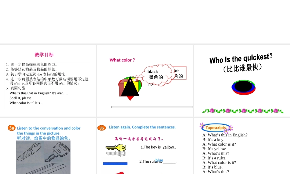 Starter Unit 3 What color is it Period3课件