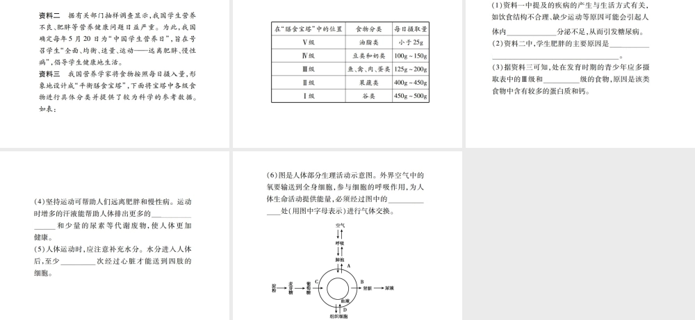 PK中考（江西专用）中考生物 同步高效集训（二十八）课件-人教版初中九年级全册生物课件