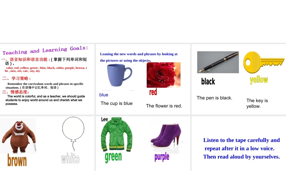 Starter Unit 3词汇教学