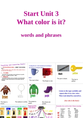 Starter Unit 3词汇教学