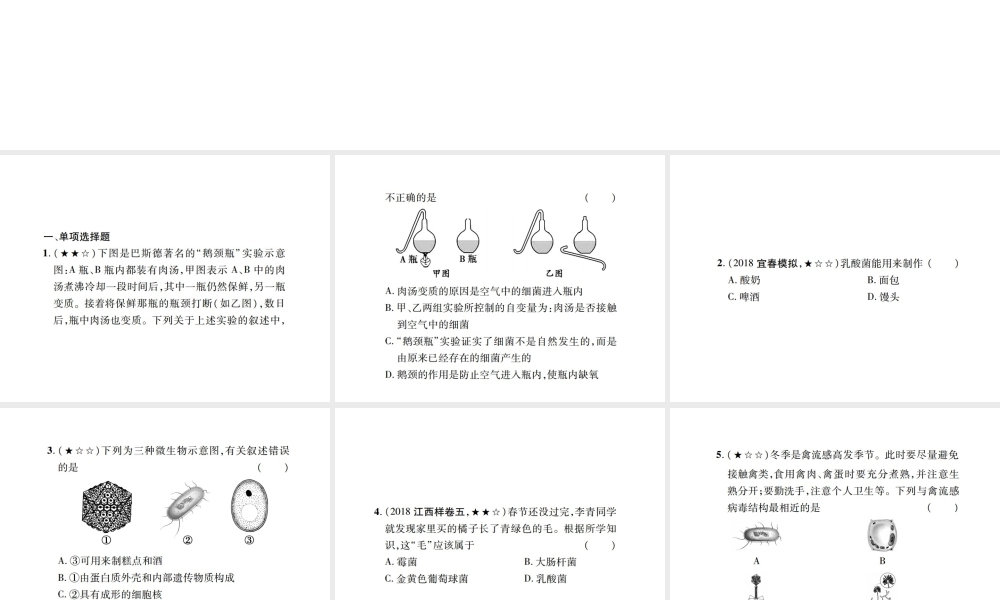 PK中考（江西专用）中考生物 同步高效集训（二十二）课件-人教版初中九年级全册生物课件