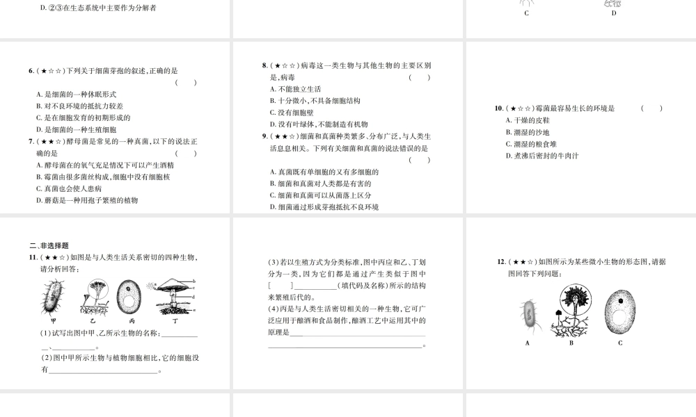 PK中考（江西专用）中考生物 同步高效集训（二十二）课件-人教版初中九年级全册生物课件