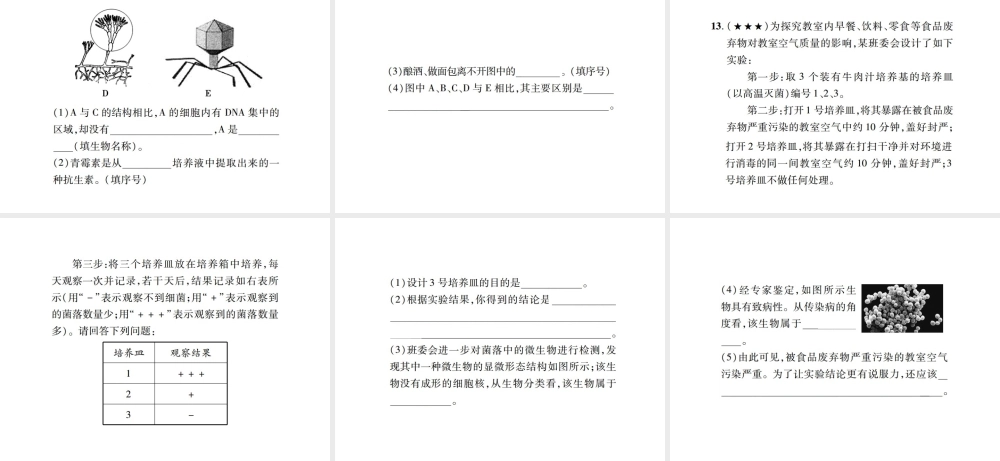 PK中考（江西专用）中考生物 同步高效集训（二十二）课件-人教版初中九年级全册生物课件