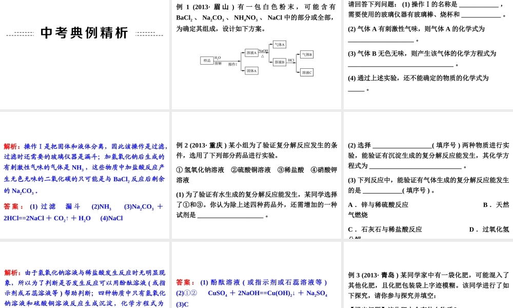 【中考备战策略】2014年中考化学总复习 第一部分 教材梳理 第18讲 盐的化学性质和复分解反应（含13年中考典例）课件 新人教版