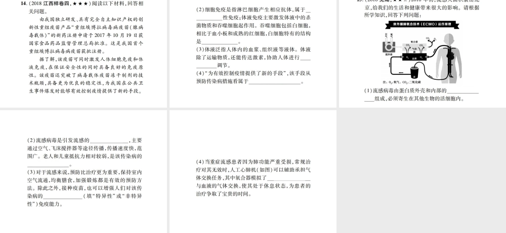 PK中考（江西专用）中考生物 同步高效集训（二十七）课件-人教版初中九年级全册生物课件