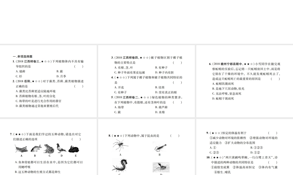 PK中考（江西专用）中考生物 同步高效集训（二十三）课件-人教版初中九年级全册生物课件