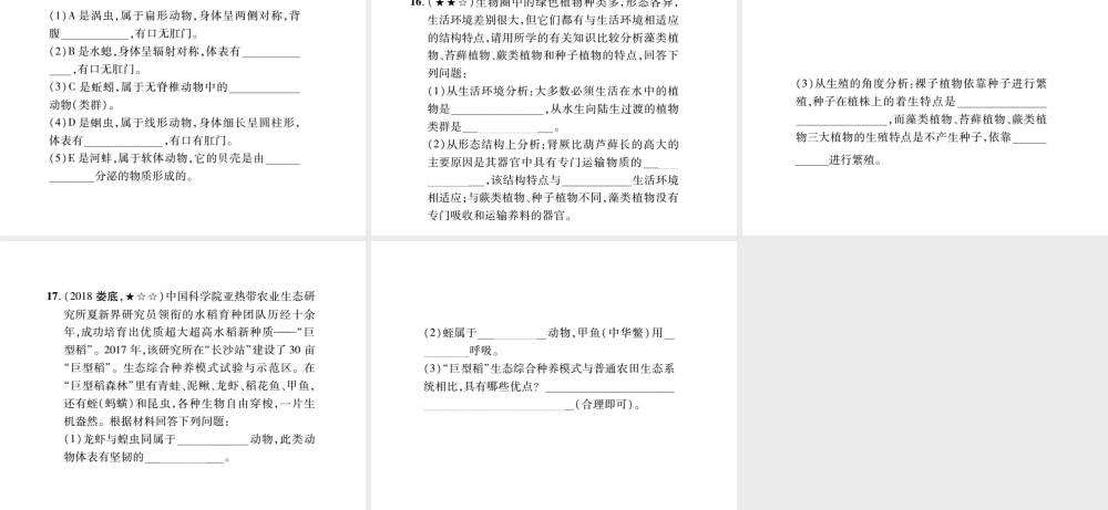 PK中考（江西专用）中考生物 同步高效集训（二十三）课件-人教版初中九年级全册生物课件