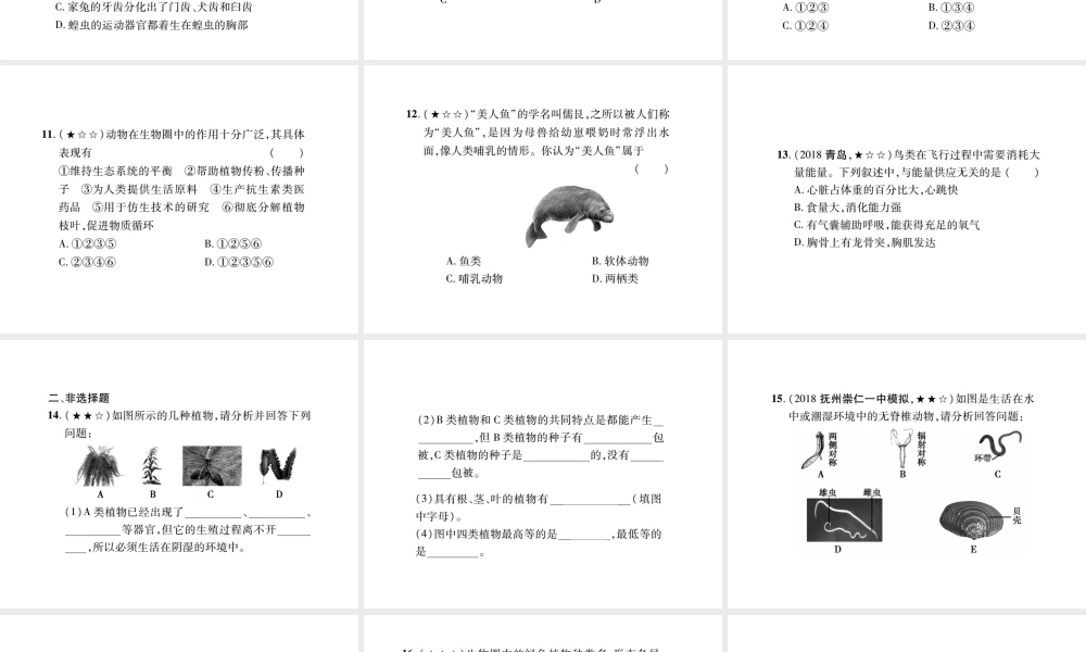 PK中考（江西专用）中考生物 同步高效集训（二十三）课件-人教级全册生物课件