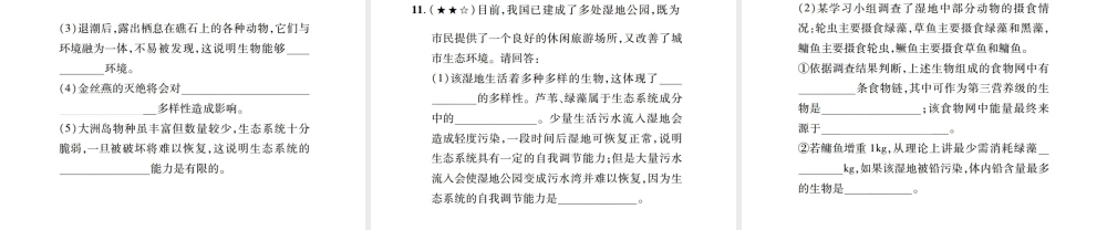 PK中考（江西专用）中考生物 同步高效集训（二十四）课件-人教级全册生物课件