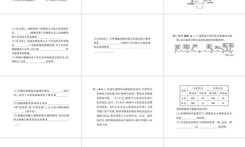 PK中考（江西专用）中考生物 同步高效集训（二十五）课件-人教版初中九年级全册生物课件