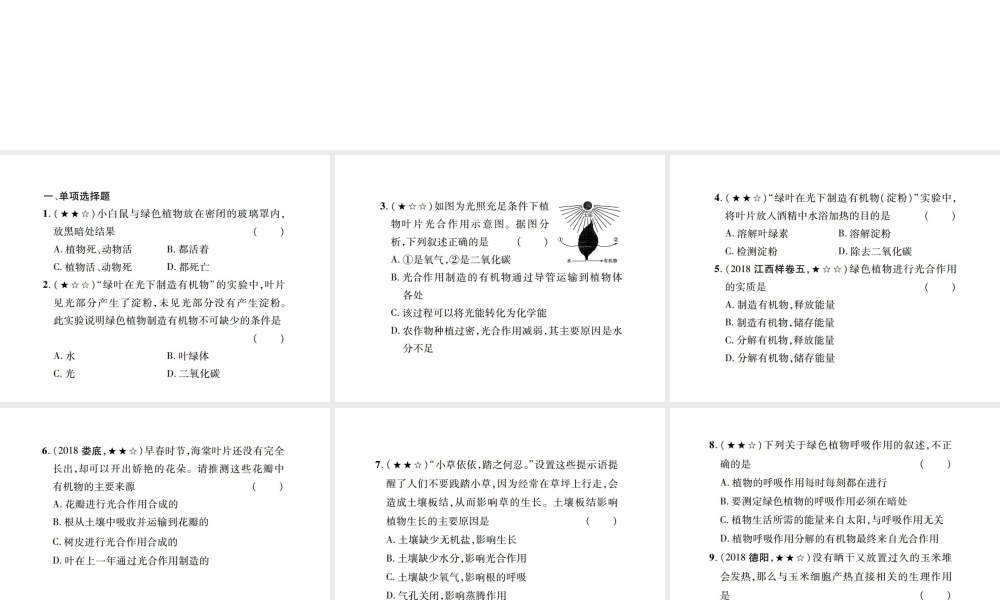PK中考（江西专用）中考生物 同步高效集训（九）课件-人教版初中九年级全册生物课件