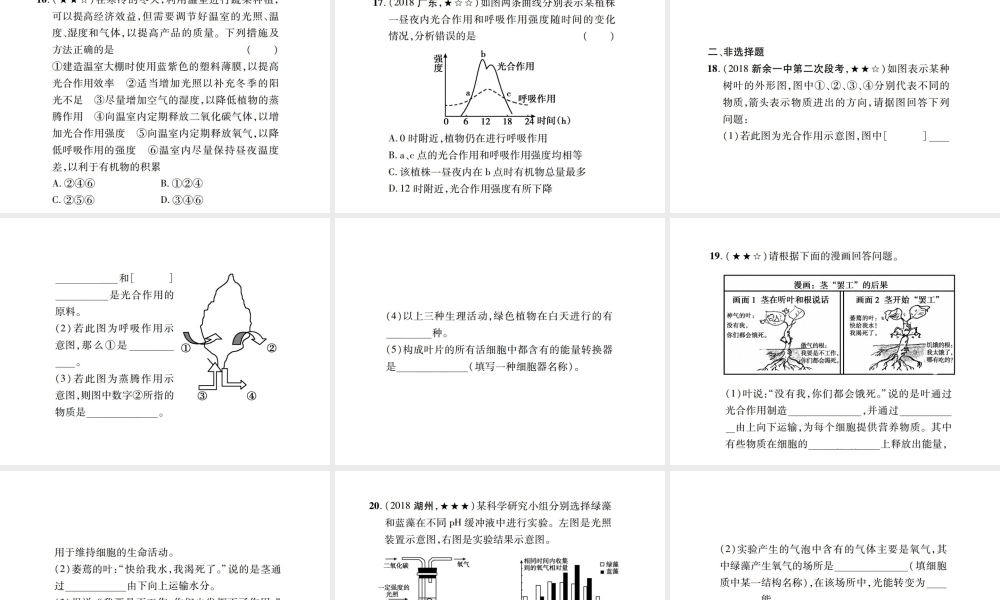 PK中考（江西专用）中考生物 同步高效集训（九）课件-人教版初中九年级全册生物课件