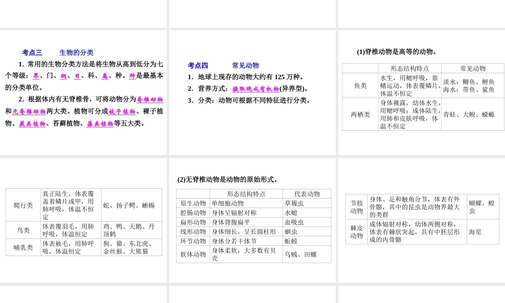 【中考备战策略】2015年中考科学总复习 专题1 观察多种多样的生物（考点知识梳理+中考典例精析+考点训练）课件 浙教版
