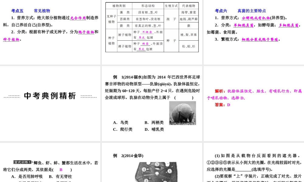 【中考备战策略】2015年中考科学总复习 专题1 观察多种多样的生物（考点知识梳理+中考典例精析+考点训练）课件 浙教版