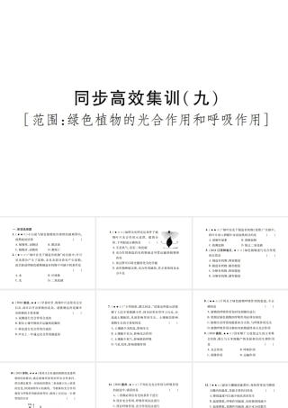 PK中考（江西专用）中考生物 同步高效集训（九）课件-人教级全册生物课件