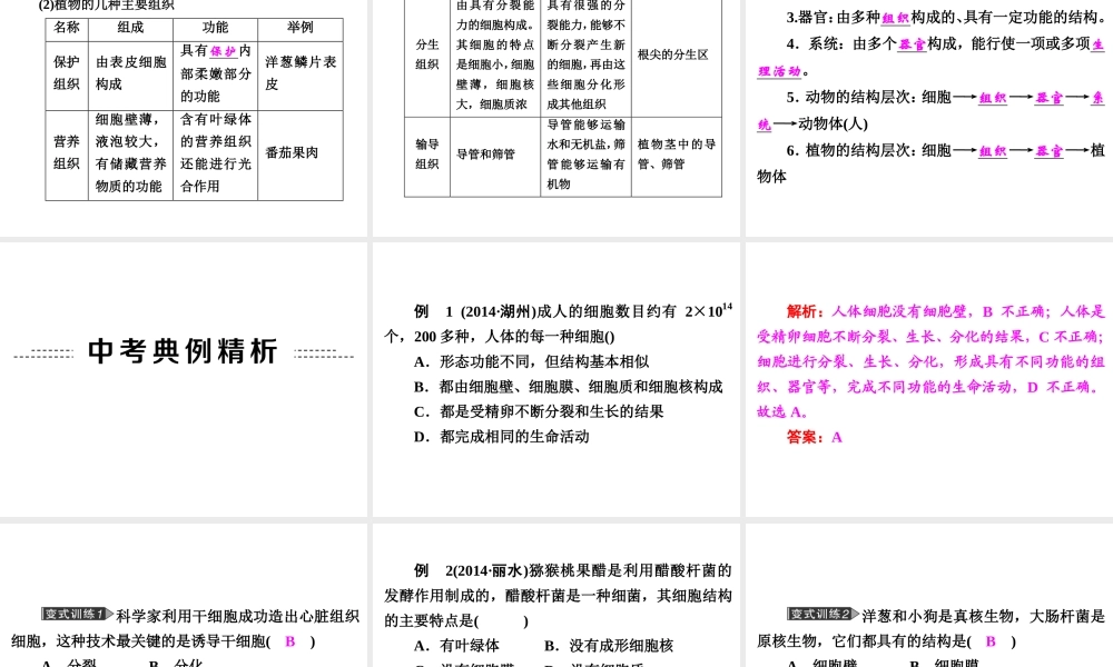 【中考备战策略】2015年中考科学总复习 专题2 构成生物体的细胞、组织、器官和系统（考点知识梳理+中考典例精析+考点训练）课件 浙教版