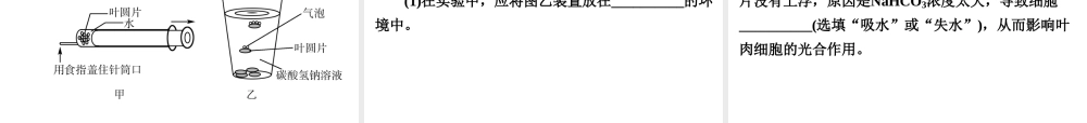 【中考备战策略】2015年中考科学总复习 专题4 绿色开花植物的物质和能量转换（考点知识梳理+中考典例精析+考点训练）课件 浙教版
