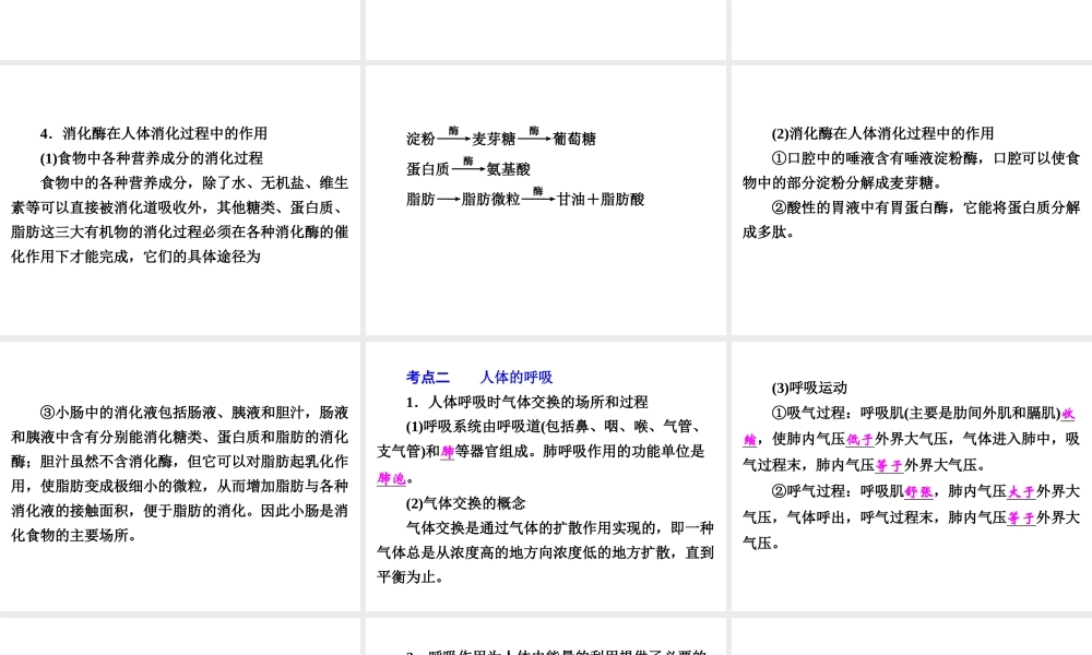 【中考备战策略】2015年中考科学总复习 专题5 人体的物质和能量转换（考点知识梳理+中考典例精析+考点训练）课件 浙教版
