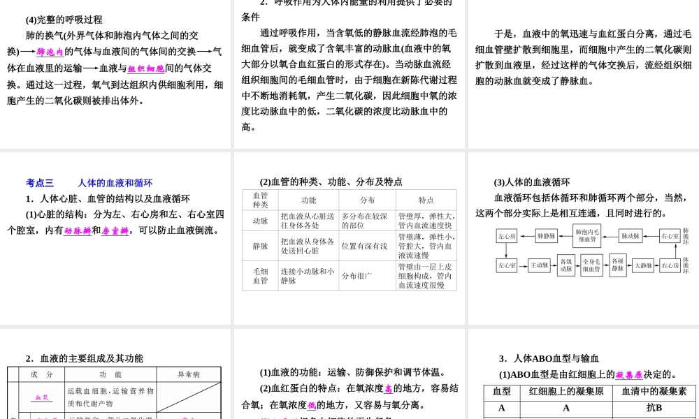 【中考备战策略】2015年中考科学总复习 专题5 人体的物质和能量转换（考点知识梳理+中考典例精析+考点训练）课件 浙教版