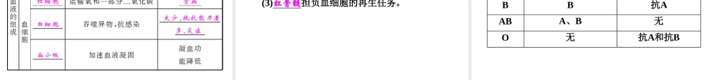 【中考备战策略】2015年中考科学总复习 专题5 人体的物质和能量转换（考点知识梳理+中考典例精析+考点训练）课件 浙教版
