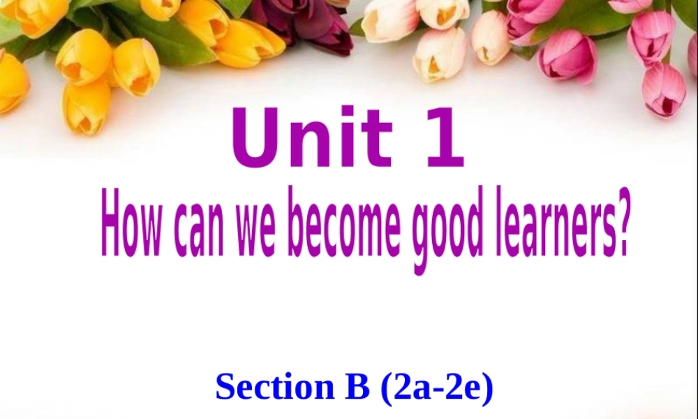 Unit 1sectionB(2a-2e)