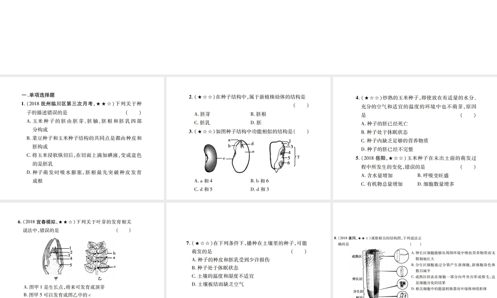 PK中考（江西专用）中考生物 同步高效集训（七）课件-人教级全册生物课件