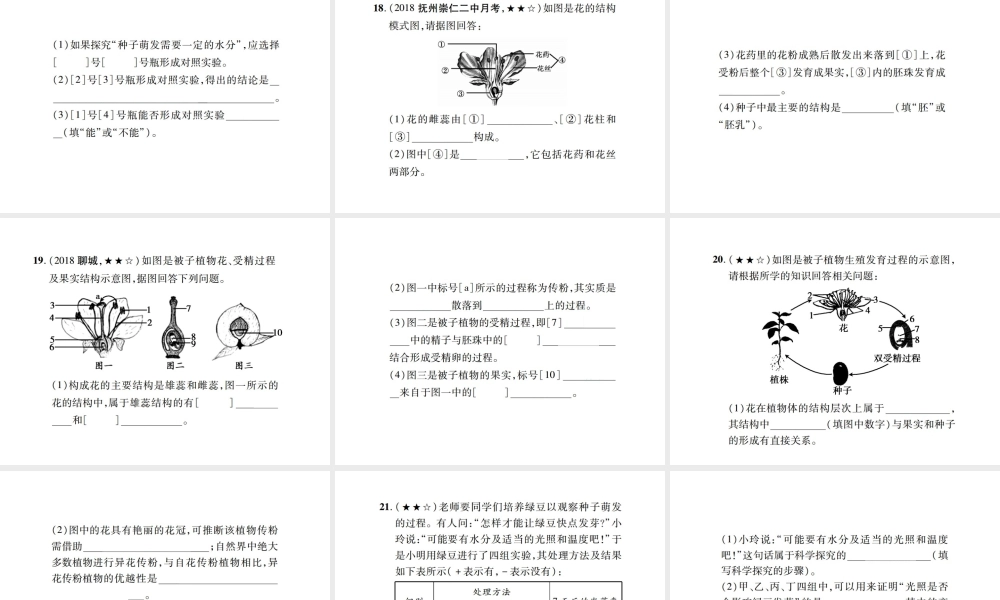 PK中考（江西专用）中考生物 同步高效集训（七）课件-人教级全册生物课件