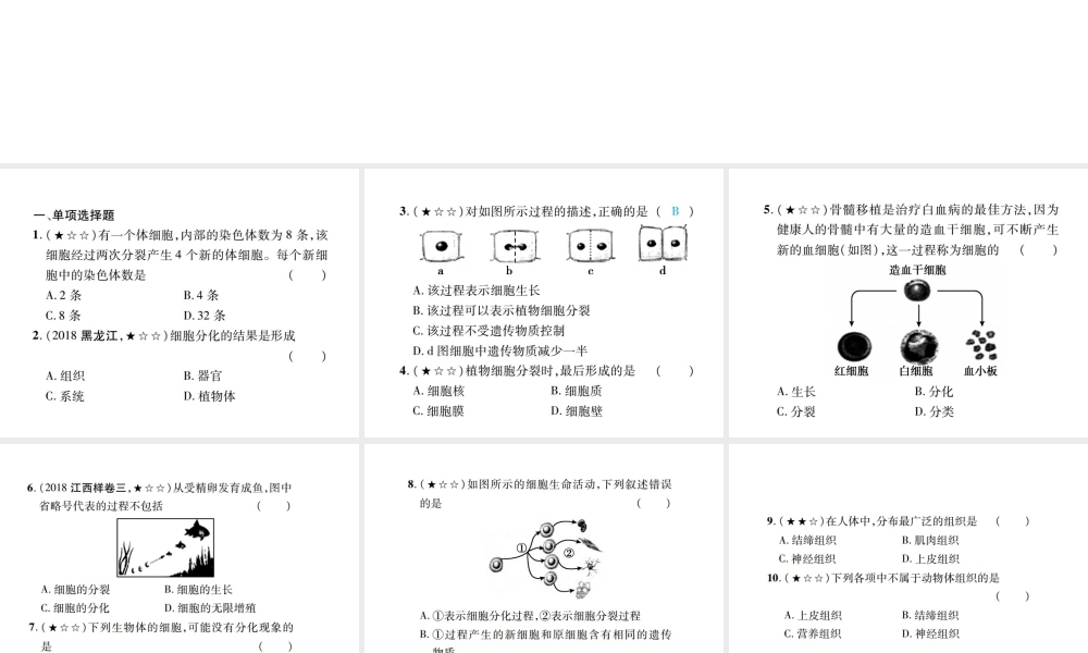 PK中考（江西专用）中考生物 同步高效集训（三）课件-人教版初中九年级全册生物课件