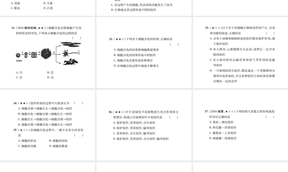 PK中考（江西专用）中考生物 同步高效集训（三）课件-人教版初中九年级全册生物课件