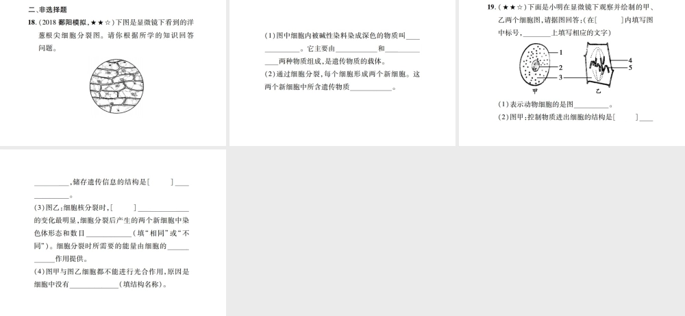 PK中考（江西专用）中考生物 同步高效集训（三）课件-人教版初中九年级全册生物课件