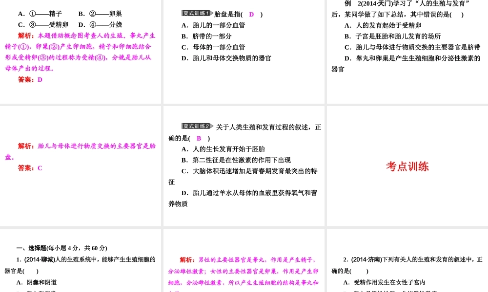 【中考备战策略】2015年中考科学总复习 专题8 人与动物的生殖和发育（考点知识梳理+中考典例精析+考点训练）课件 浙教版