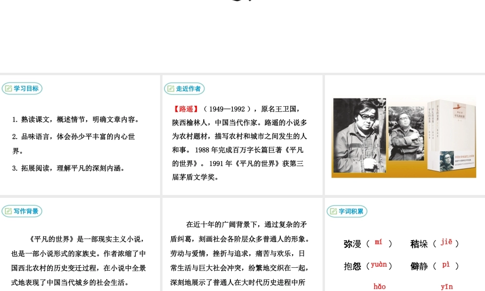 2018年九年级语文上册 第二单元 7 平凡的世界（节选）教学课件 语文版