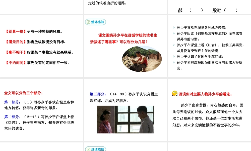 2018年九年级语文上册 第二单元 7 平凡的世界（节选）教学课件 语文版