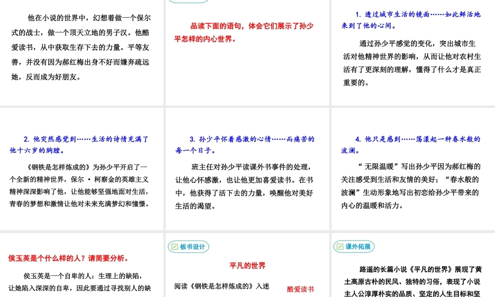 2018年九年级语文上册 第二单元 7 平凡的世界（节选）教学课件 语文版