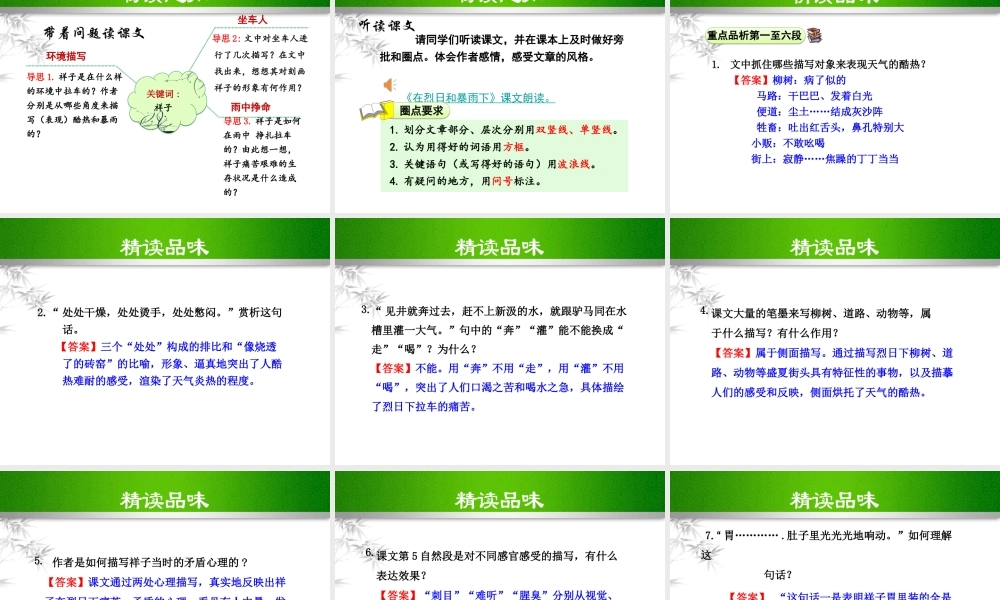 2018年九年级语文上册 第二单元 7 在烈日和暴雨下课件 苏教版