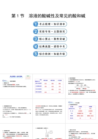 【全程复习方略】2013版中考化学 第7章 应用广泛的酸、碱、盐 第1节 溶液的酸碱性及常见的酸和碱配套课件 沪教版