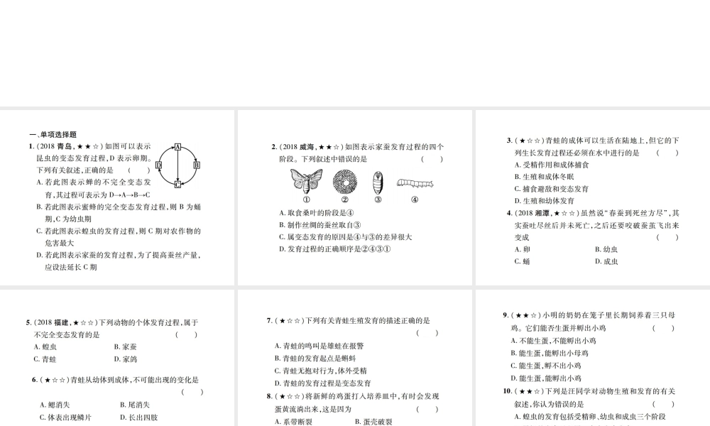 PK中考（江西专用）中考生物 同步高效集训（十八）课件-人教版初中九年级全册生物课件