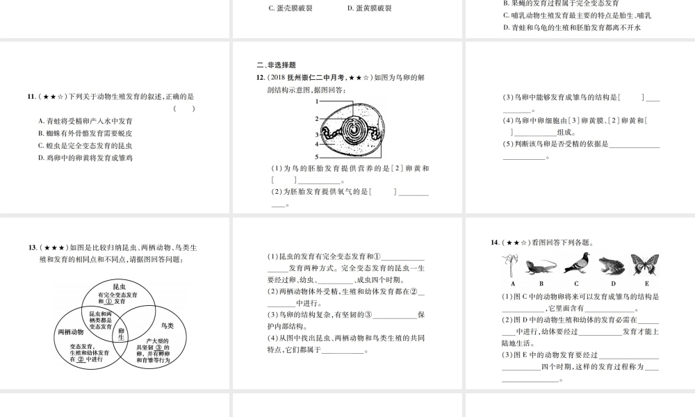 PK中考（江西专用）中考生物 同步高效集训（十八）课件-人教级全册生物课件