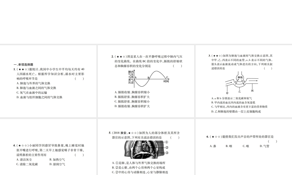 PK中考（江西专用）中考生物 同步高效集训（十二）课件-人教级全册生物课件