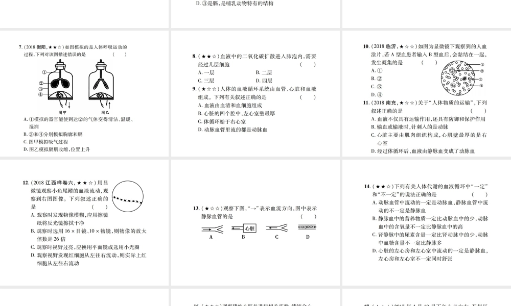 PK中考（江西专用）中考生物 同步高效集训（十二）课件-人教级全册生物课件