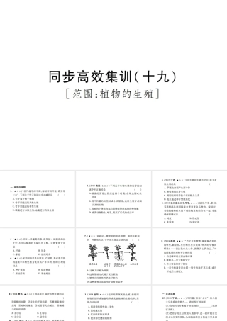 PK中考（江西专用）中考生物 同步高效集训（十九）课件-人教版初中九年级全册生物课件