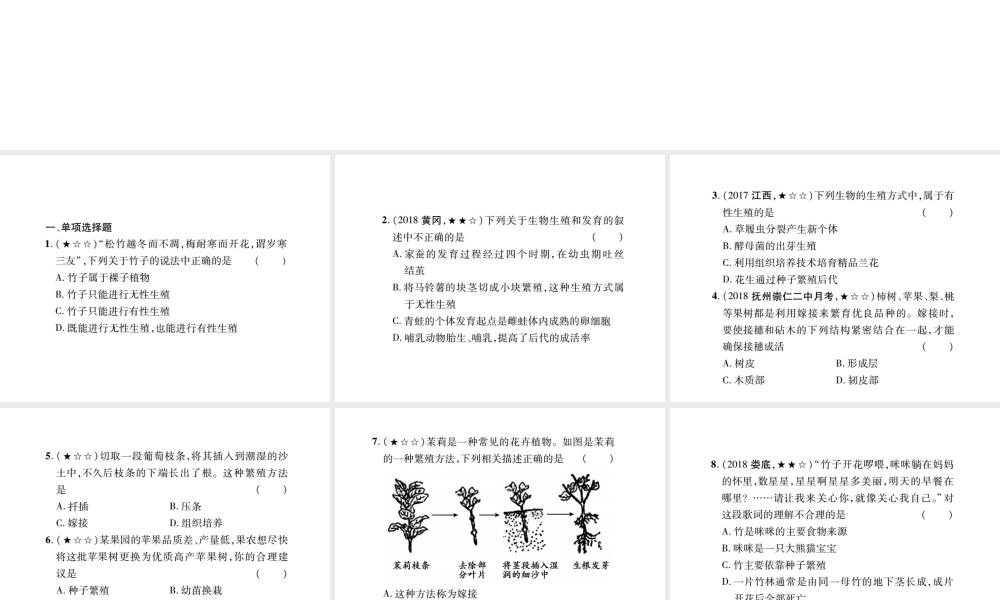 PK中考（江西专用）中考生物 同步高效集训（十九）课件-人教级全册生物课件
